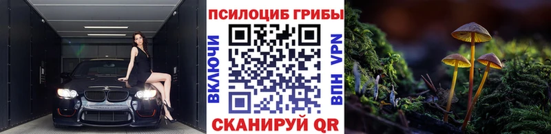Галлюциногенные грибы Cubensis  KRAKEN ссылки  Ермолино 